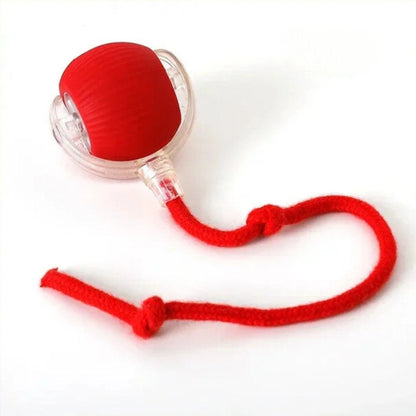 CãoFun™ - Bola de Aventura Interativa para os seus Cães