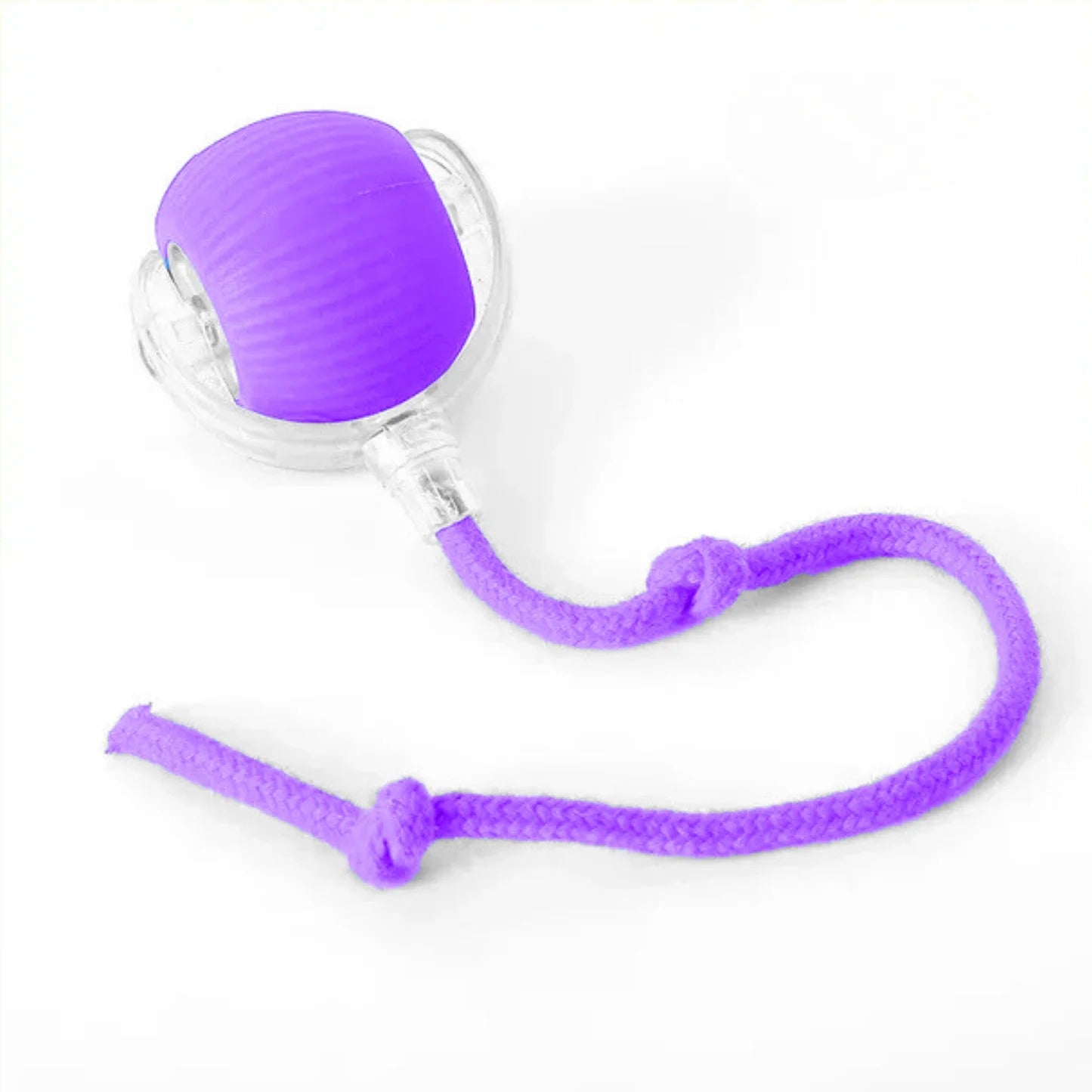 CãoFun™ - Bola de Aventura Interativa para os seus Cães